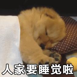 最新发现，狗狗的做梦过程，还会身体抽搐还大叫，可以叫醒它吗