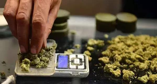 种“草”吗?做“实验”吗？坐牢的那种……