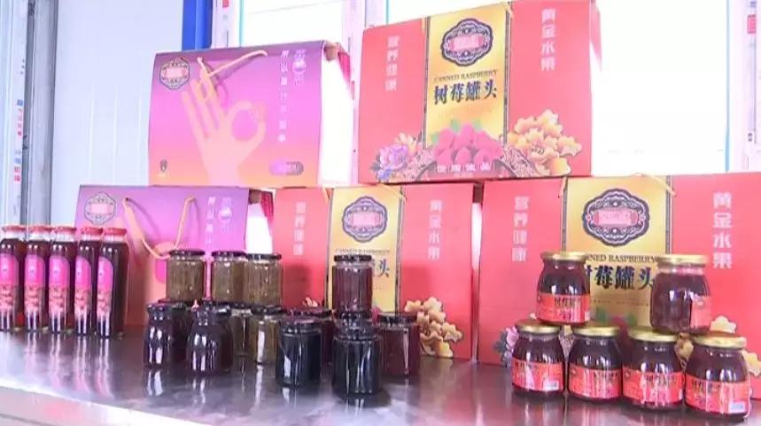 自强撑起梦想的蓝天——馨月浆果种植专业合作社理事长张喜良