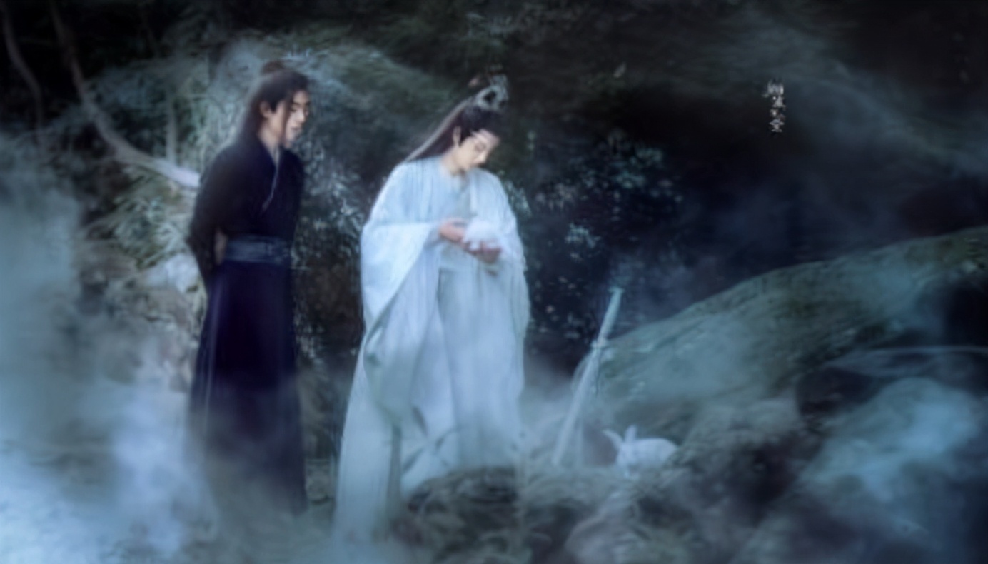 蓝忘机魏无羡这一世我护你周全,蓝忘机我曾毫无指望的爱过你