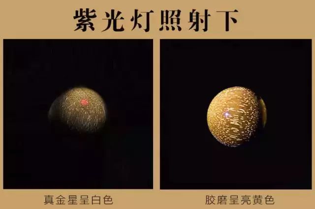 紫檀的真实身份,紫檀最后的样子