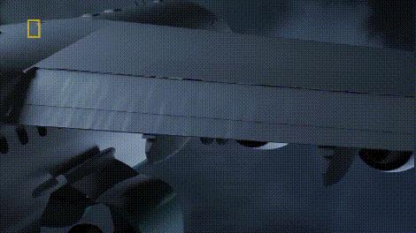 巴西球队遭遇空难沙佩科恩斯,巴西沙佩科恩斯足球