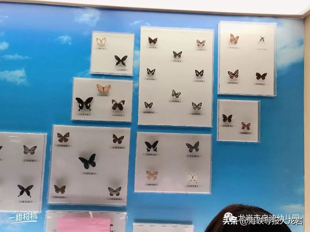 幼儿园带孩子们走进博物馆,长汀县启迪幼儿园