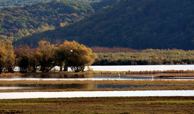 在那遥远的东方歌曲,抚远东方第一哨旅游攻略