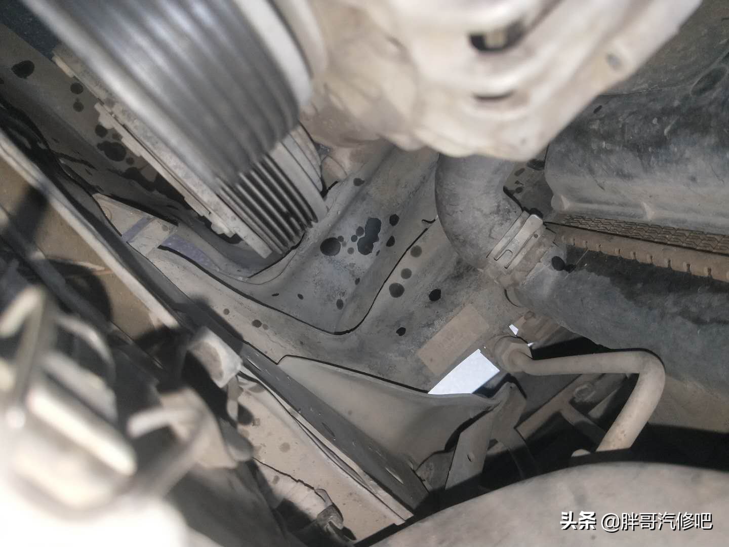 胖哥十万左右车,胖哥千元车