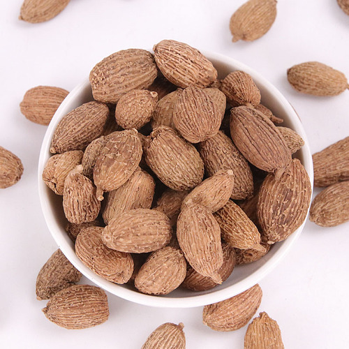 认识中药砂仁,砂仁的功效与作用