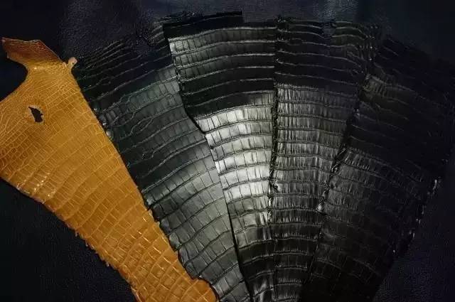 鳄鱼皮具区分几种鳄鱼皮,鳄鱼真皮皮料