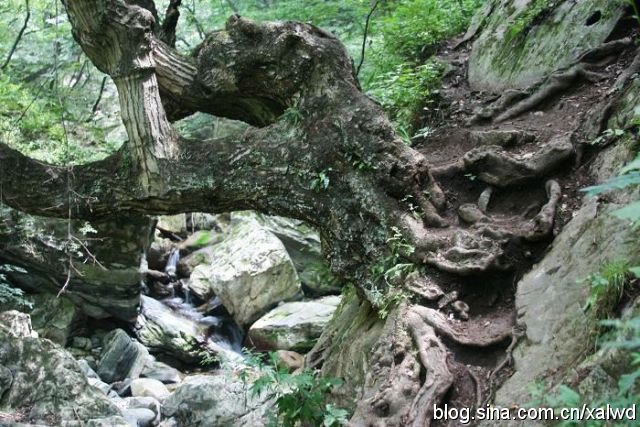 陕西西安旅游景点攻略图,西安旅游景点购票攻略图文