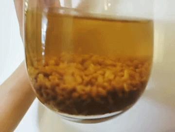 黑珍珠黑苦荞茶四川大凉山荞麦茶,威宁黑苦荞胚芽茶