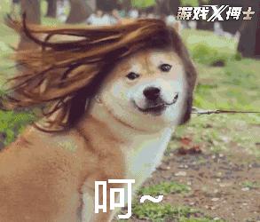 王者荣耀最赚钱的游戏,王者玩什么游戏最挣金币