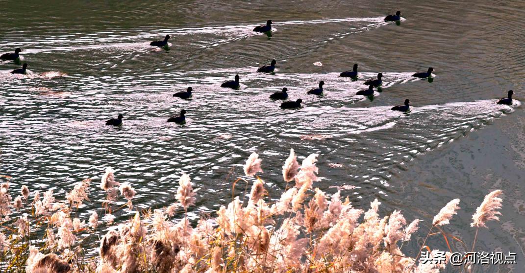 嵩县河道综合治理及景观开发,嵩县环境保护