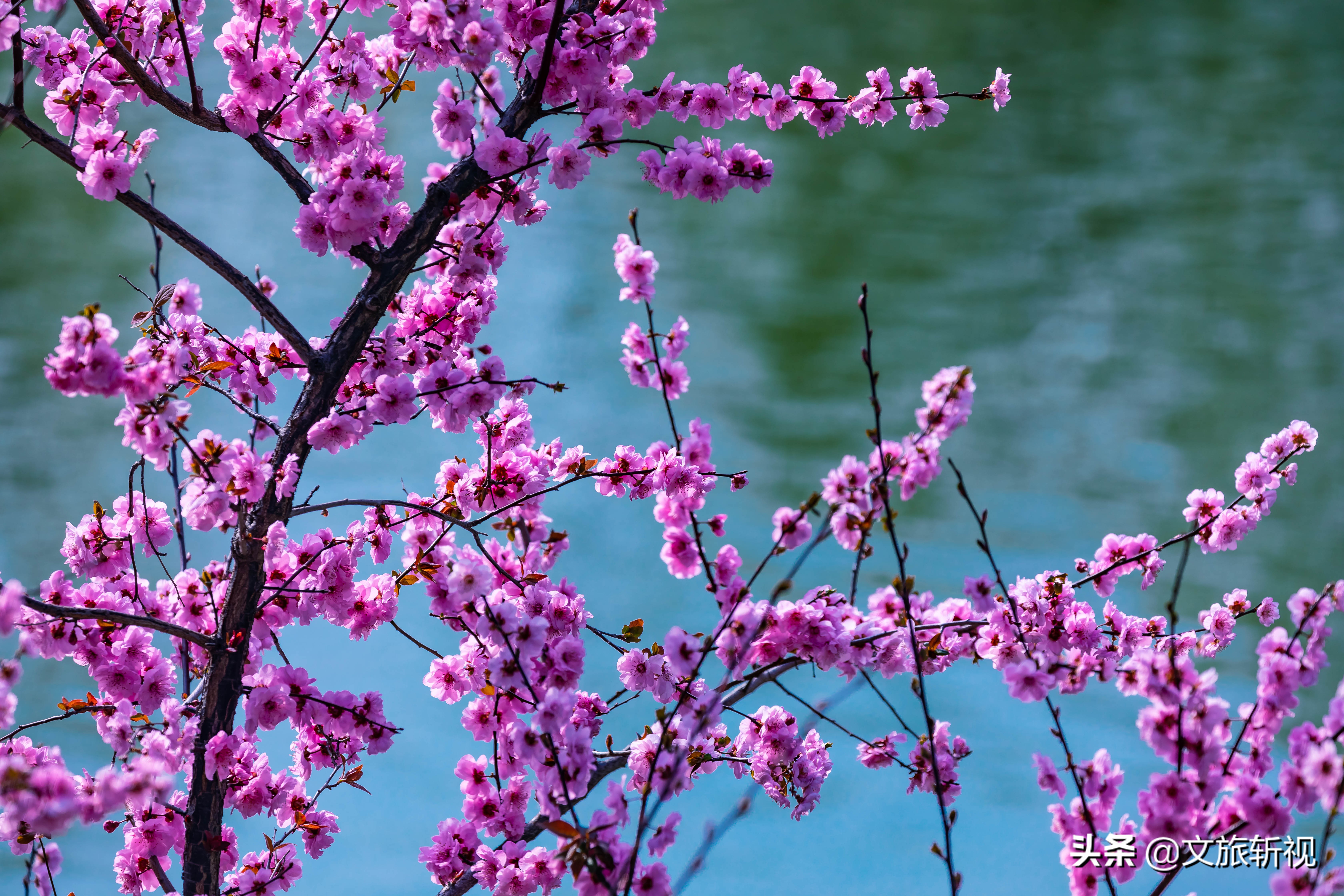 济南周末南部山区,南部山区是济南人的后花园