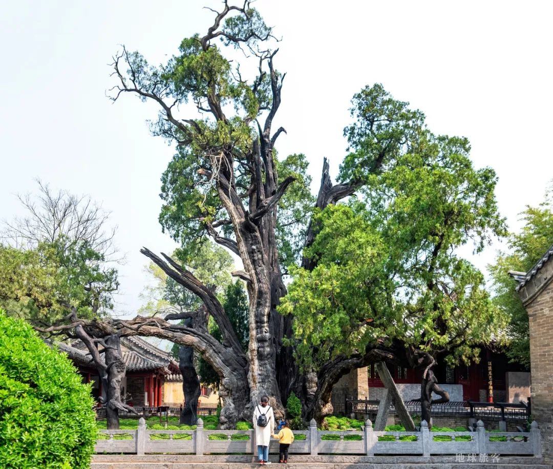 重新认识中国文化,嵩山最具代表的地方