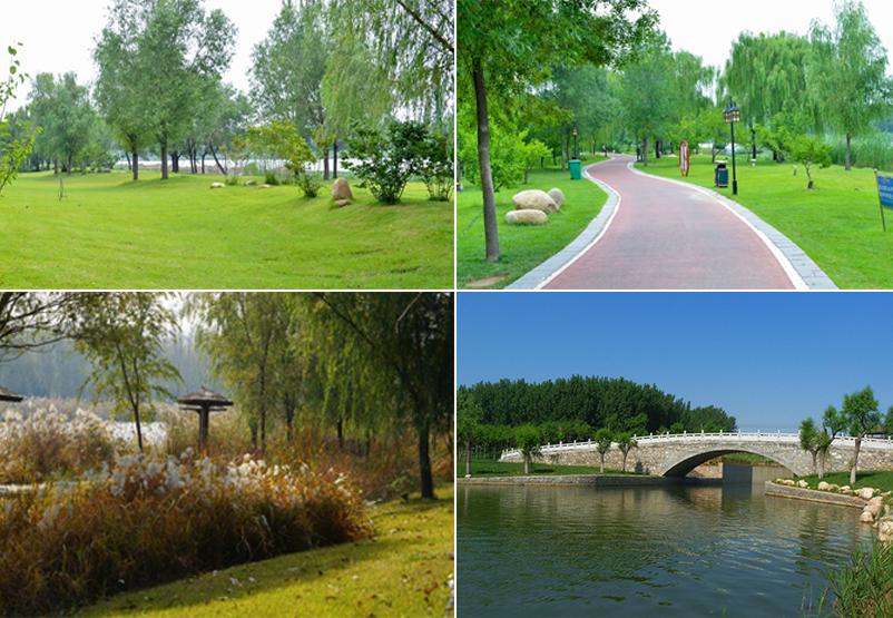 筑巢引凤项目,筑巢引凤厚植创业沃土