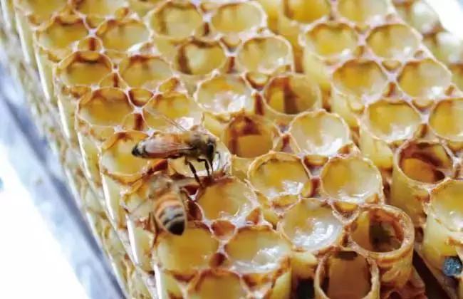 日本女生身体美白的秘诀,日本女人美白的秘密