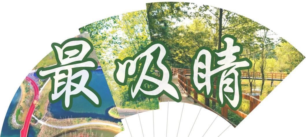 成都绿道被隔开,成都被3条路包围的楼盘