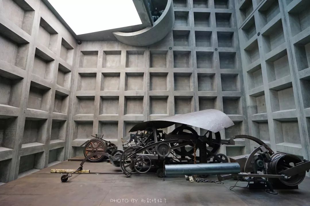 去哪里旅游可以看南极企鹅,旅游攻略南极看企鹅