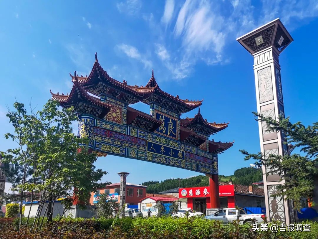 参农的感受,参农带你了解人参知识