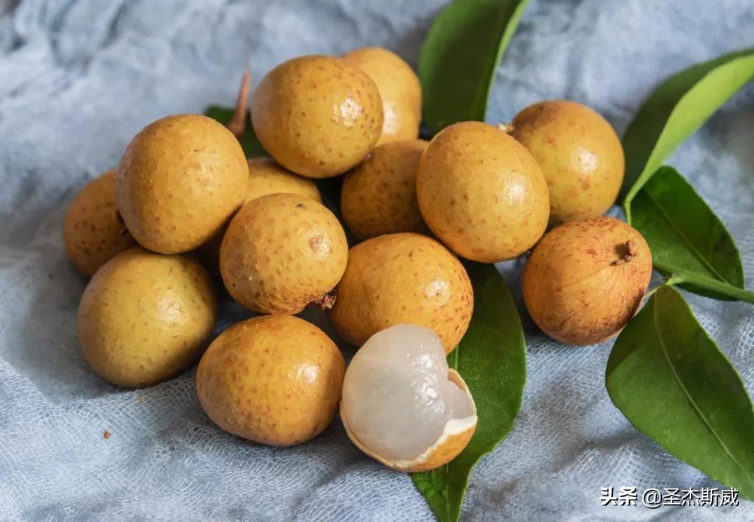 蓝莓猕猴桃鲜酿酵素,霜降前的酵素翠香猕猴桃