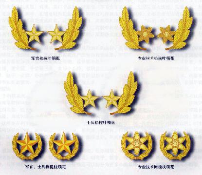 人民空军建军节是几号,空军建军70周年标识