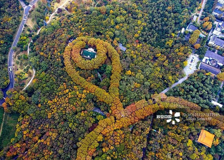 去了那么多次你真的了解南京吗,去了很多地方就会有阅历吗