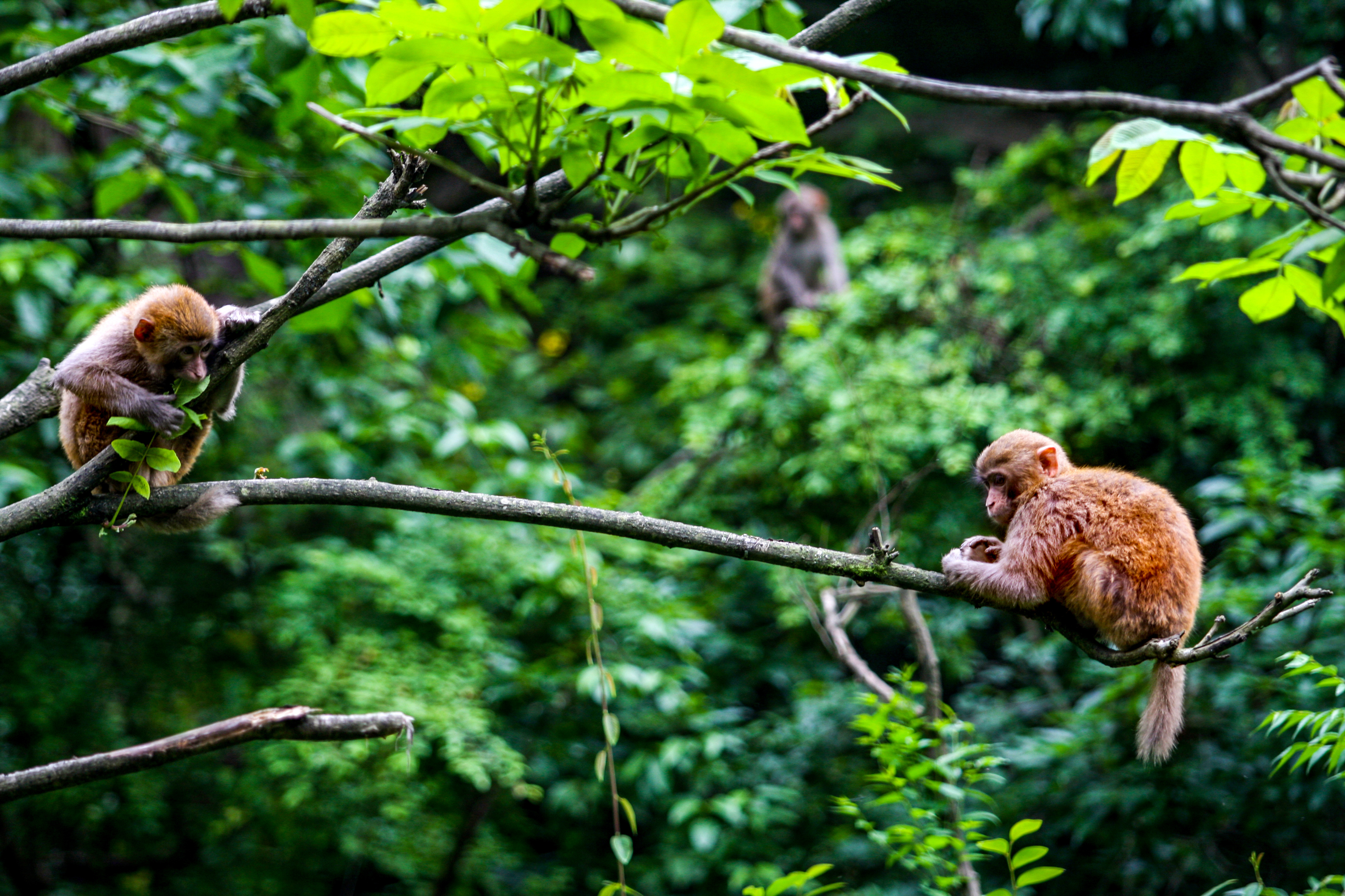 天堂纳木错完整版,天堂圣湖