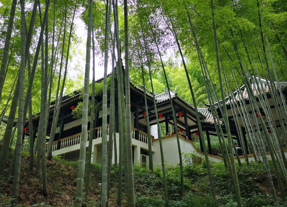 七月份的无锡,七八月份无锡旅游推荐