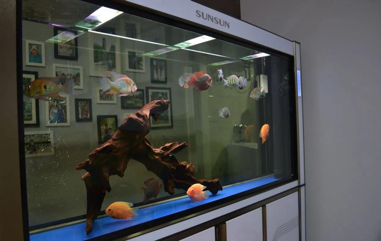 成品鱼缸上滤盒改造,制作一口鱼缸需要多少钱