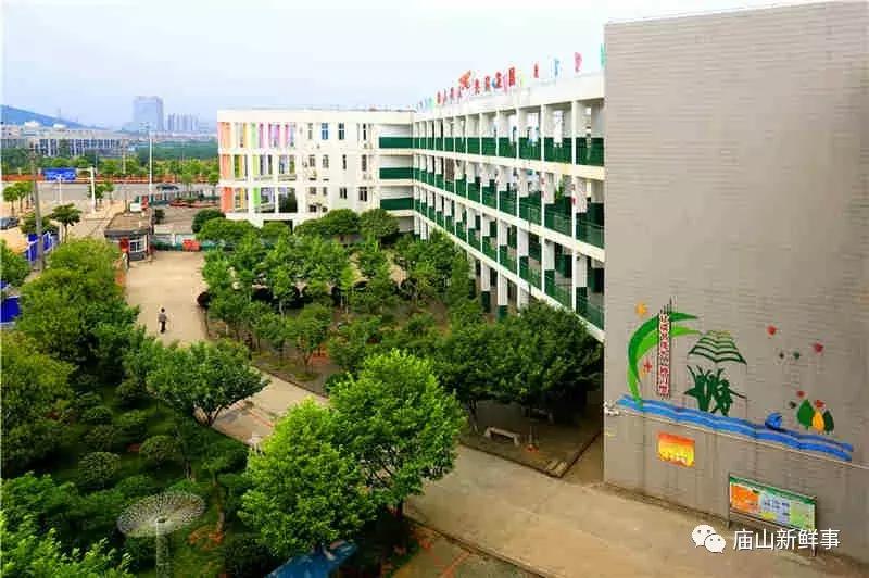 庙山长城中学升学率,江夏庙山长城中学初三有多少人