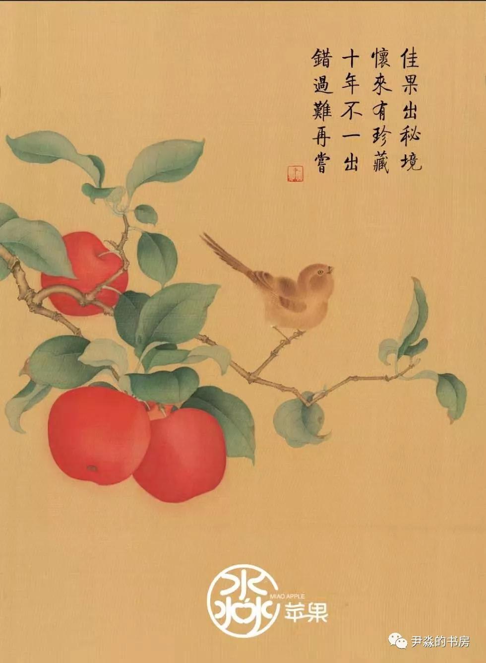 种苹果籽的人,种李子的人