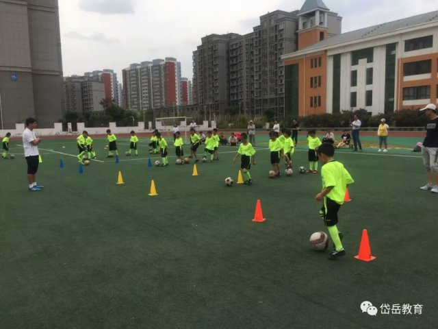 泰安岱岳区校园足球,山东省政府表扬泰山队