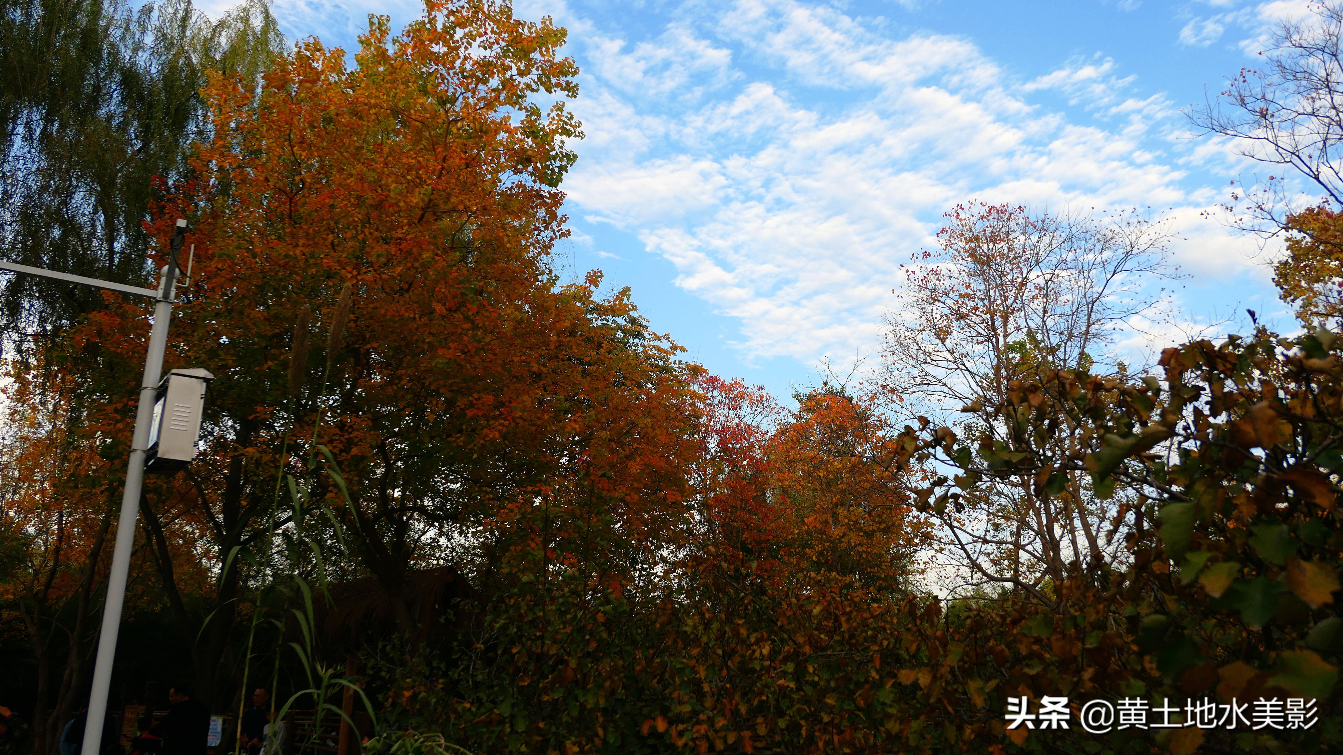 免费游玩东湖公园攻略,免费湿地公园游乐景点