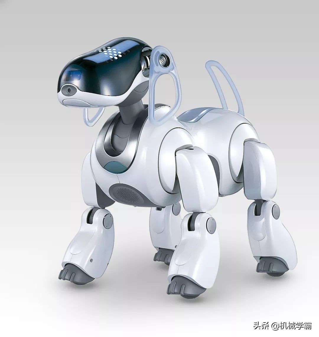 日本机器人图片大全,日本机器人黑科技大全