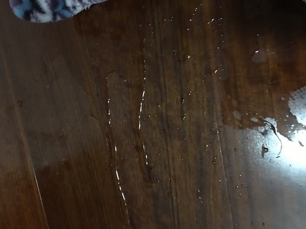 回南天怎么办教你一招,又回南天了怎么办