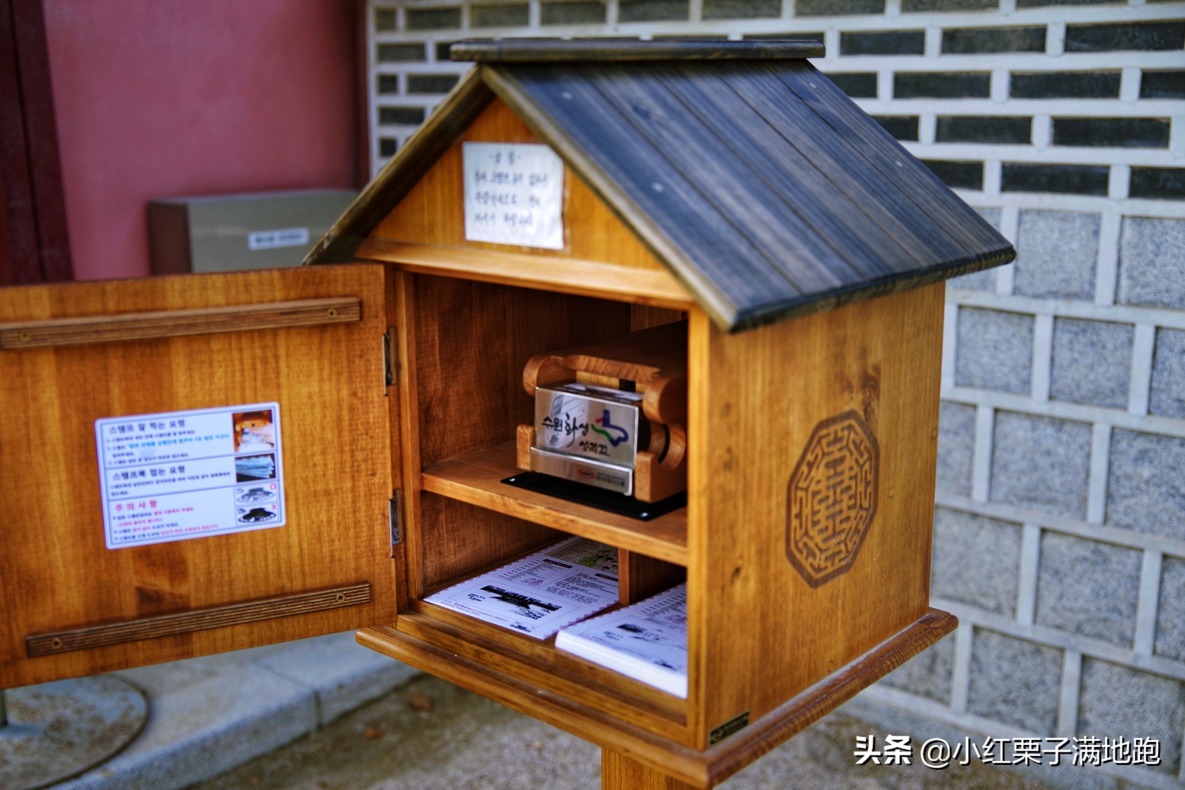 疫散花开张家界,疫散花开欢迎归来