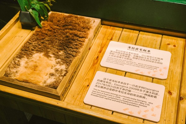 广州长隆旅游攻略自由行详细,广州长隆五一节3天2夜亲子游攻略