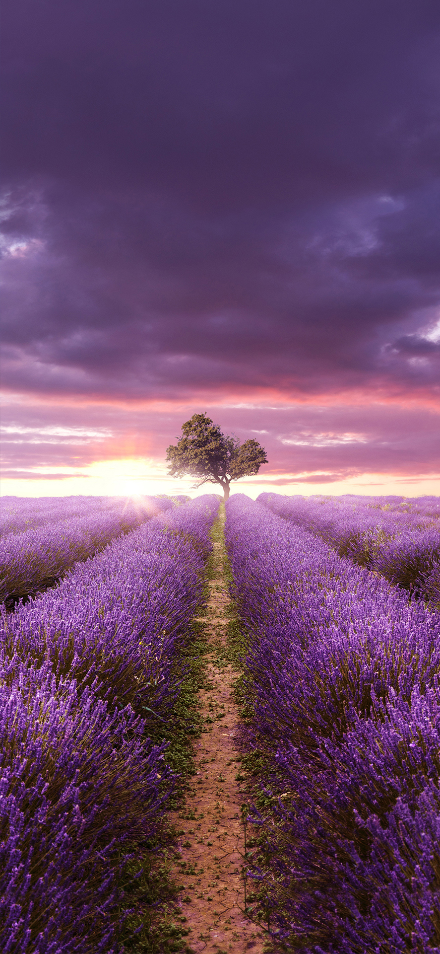 手机壁纸全屏高清抖音最火壁纸,iphone15壁纸原生超清4k美女风景