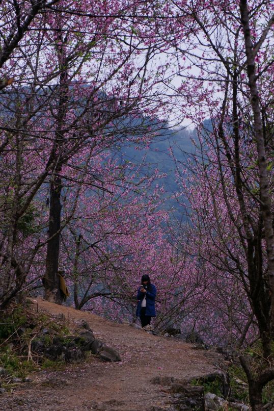 疫情过后娱乐行业重创,疫情过后旅游业的反弹