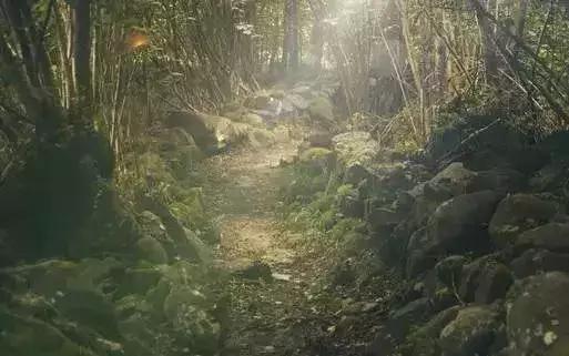 在户外迷路时最好的做法,野外迷路怎么办小技巧