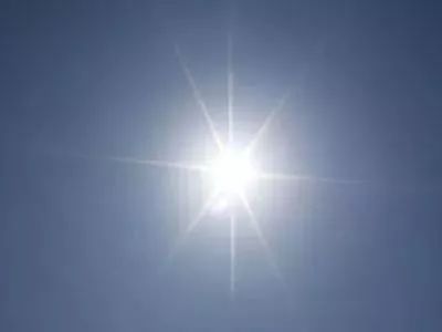 眼睛长出翅膀,眼睛长翅膀