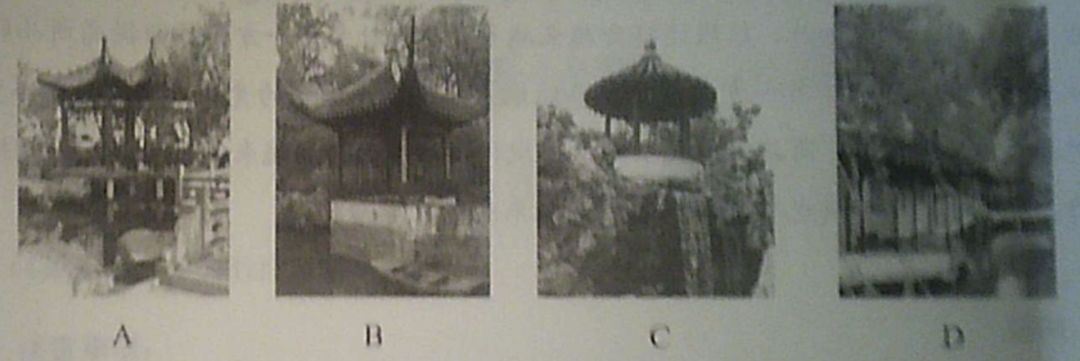 小学2021年综合试卷答案,2021年下半年教资小学真题及答案