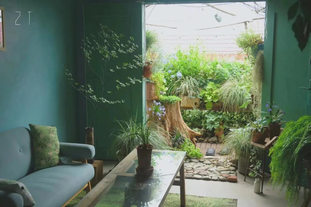 90后男孩住进郊区老屋，徒手打造400㎡自然花园，里面装满小精灵