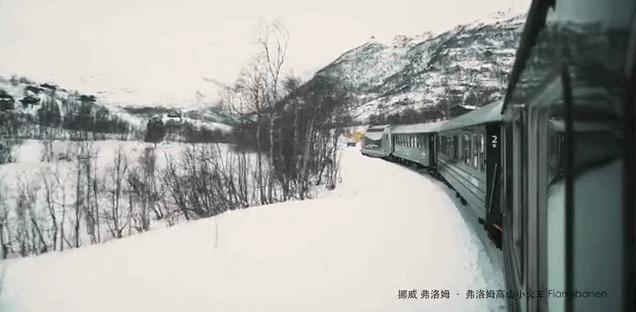 王珞丹35岁庆生照,王珞丹的生日是几月几号