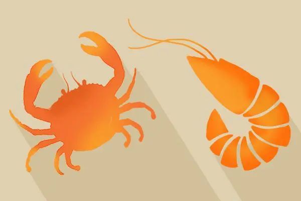 吃生鱼片容易得什么肝炎,吃生鱼片对肝脏有什么影响