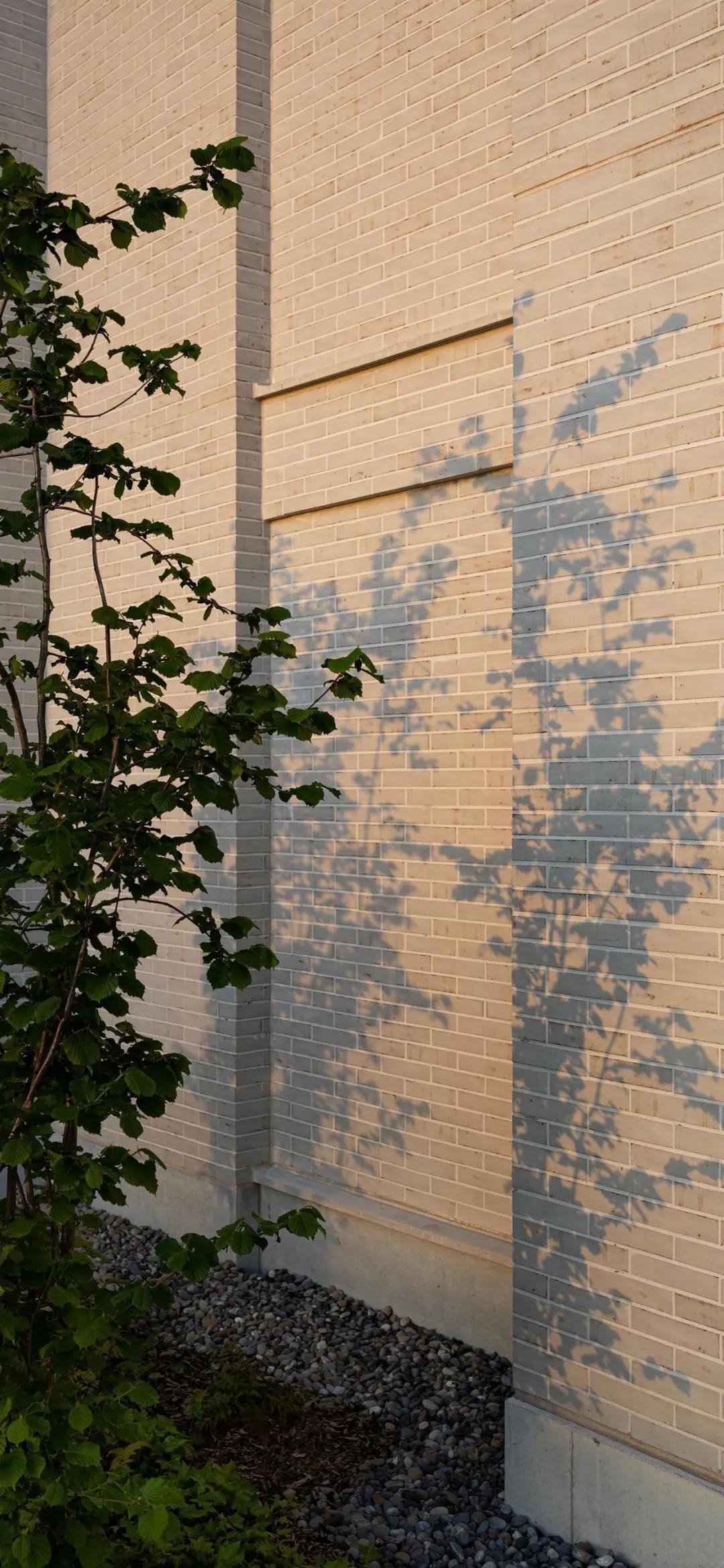 紫色小清新文艺壁纸推荐,紫色仙气十足的壁纸