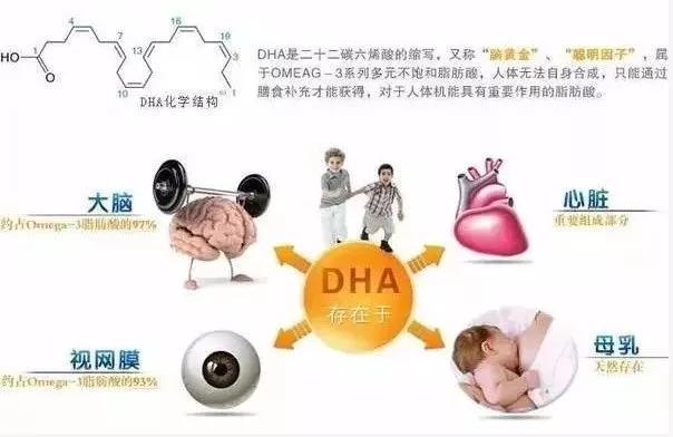 dha核桃油你了解过吗,dha官方解答