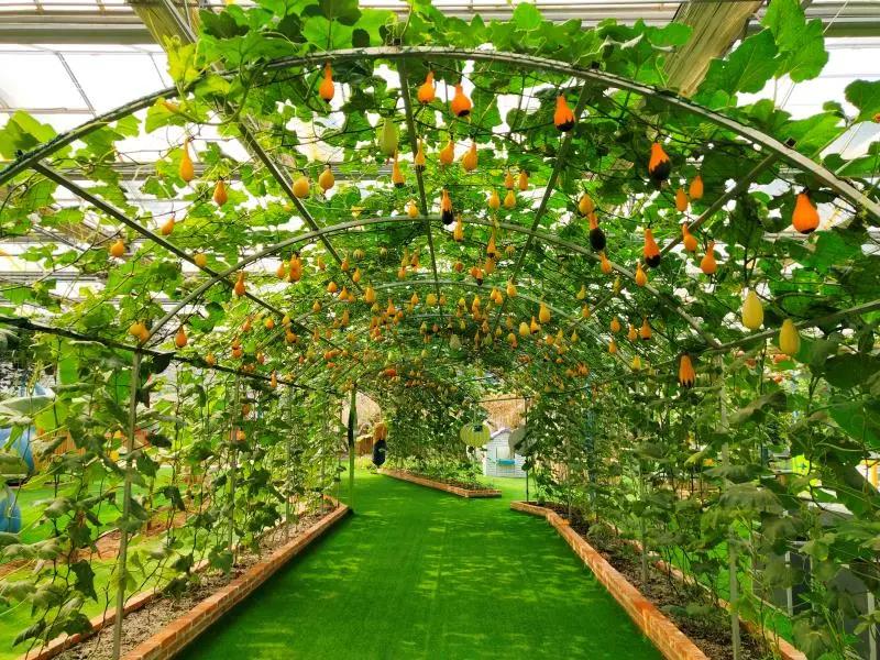 7月旅顺游玩,7月旅顺游玩去处