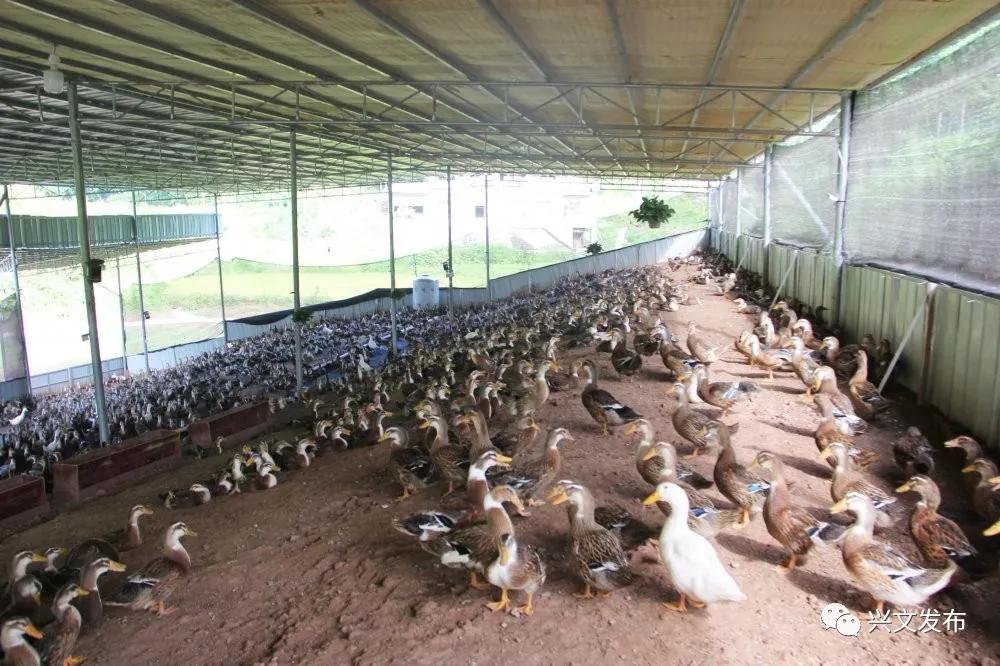 回眸十三五开启十四五,回眸十三五展望十四五