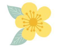 百万市民看奉贤,上海百条线路图