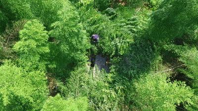 李子柒令人向往的世外桃源生活,李子柒记录的简单淳朴的田园生活